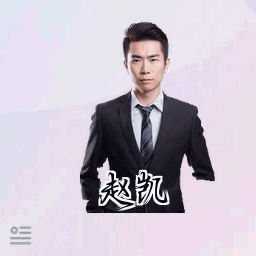 赵凯